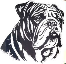 1x English Bulldog Vinyl