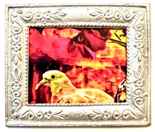 Little pigeon the window - the, window"