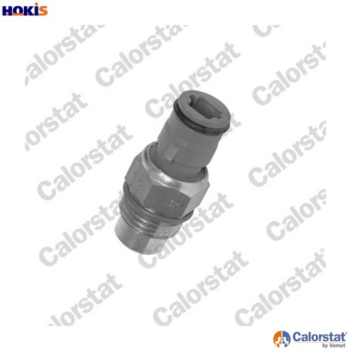 Temperature switch radiator - switch,