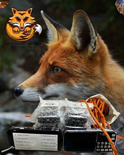 The ultimate fox - fox, y-5