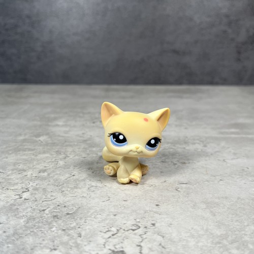 Hasbro littlest pet - hasbro, shop