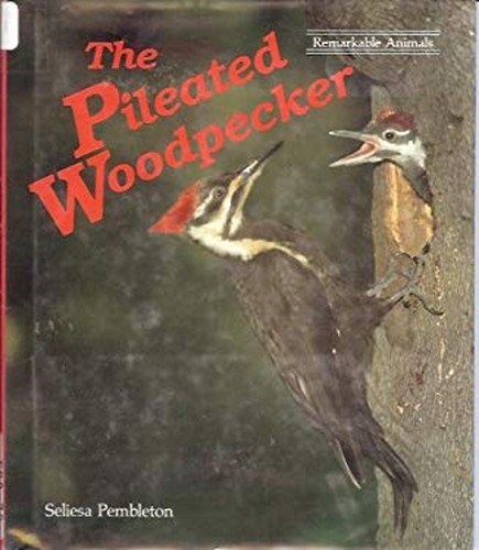 The pileated woodpecker - pileated,