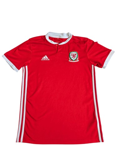Wales national team 2018 2019 - wales,