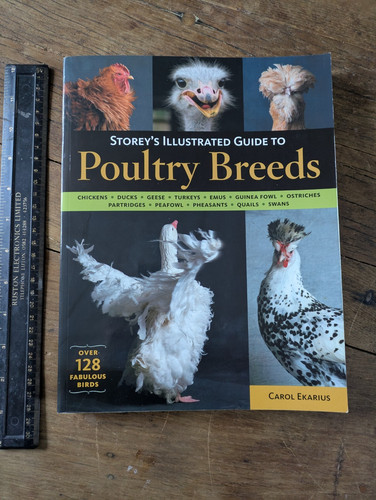 Storey illustrated guide to - illustrated,