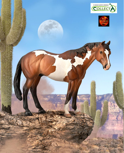 Appaloosa bay overo paint - appaloosa,