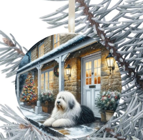 Old english sheepdog dog - old,