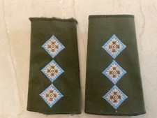 Parachute regiment Captains cloth rank slides