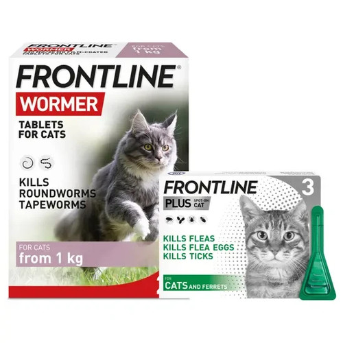 Cat flea tick - cat,
