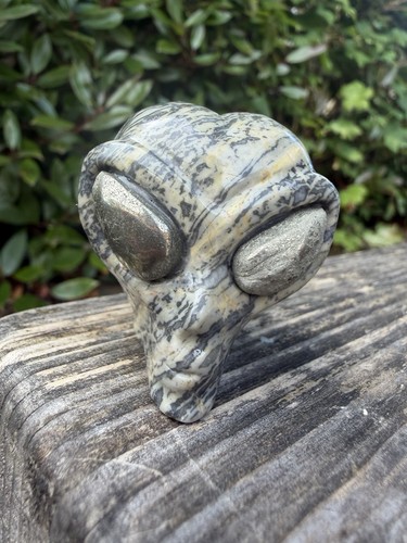 Picasso jasper alien head with - picasso,
