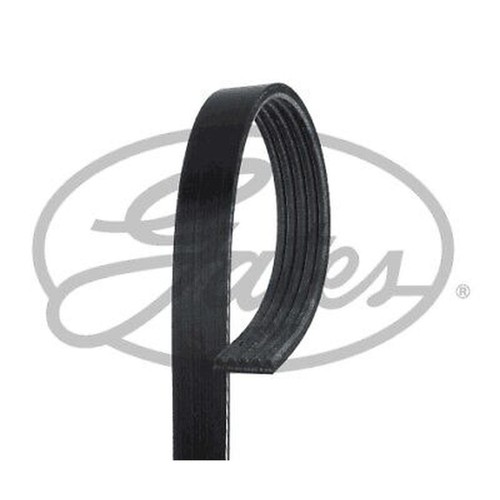 5pk1463 gates ribbed belt - gates,