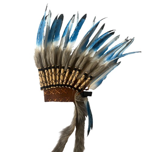 American chief indian - chief, native