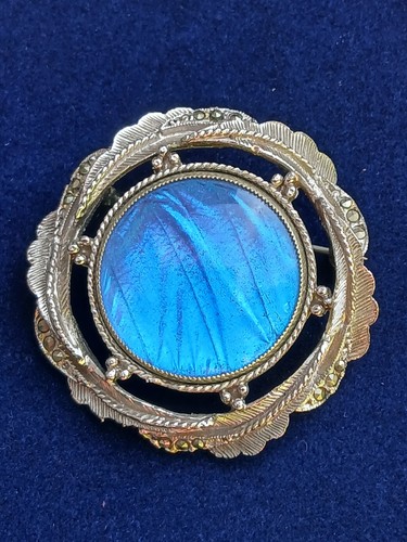Vintage exquisite blue - exquisite,