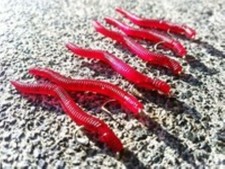 6 x RED WORMS FLY FISHING WET