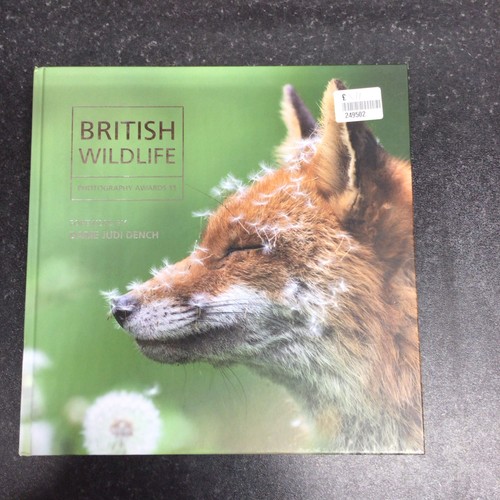 British wildlife photography - british,