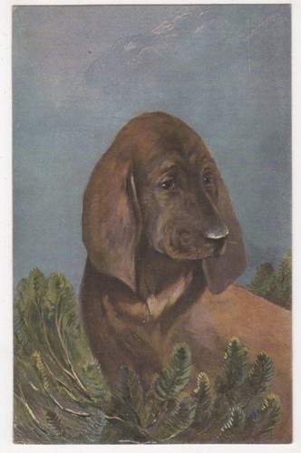 Dogs hildesheimer art - hildesheimer,
