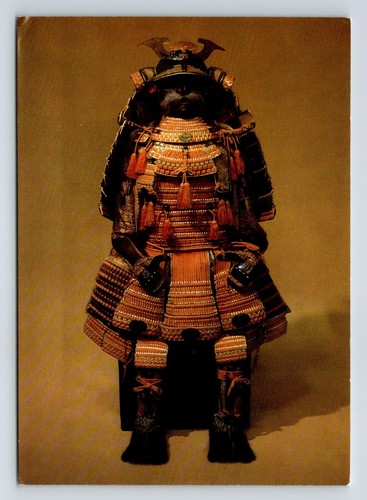 Military japanese akita - japanese,