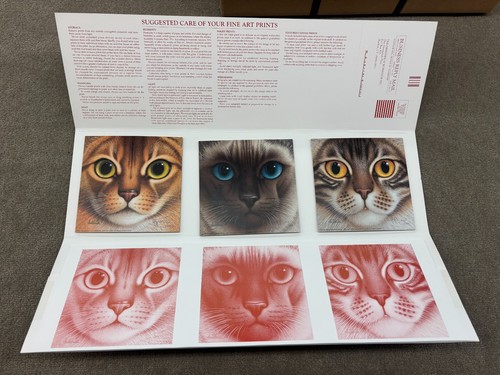 Limited edition inkjet cat - inkjet,