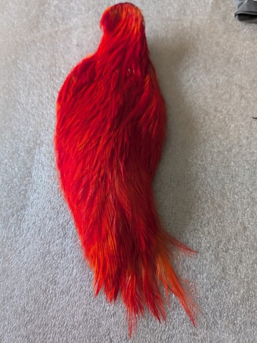 Hot orange chinese cock - orange,