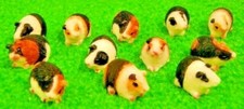 Set miniature guinea pigs - 3,