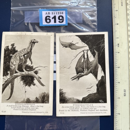 Np619 dinosaur collectables - dinosaur,