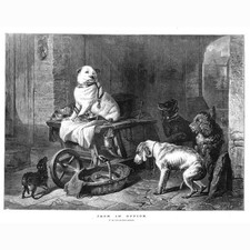 EDWIN LANDSEER Jack in Office