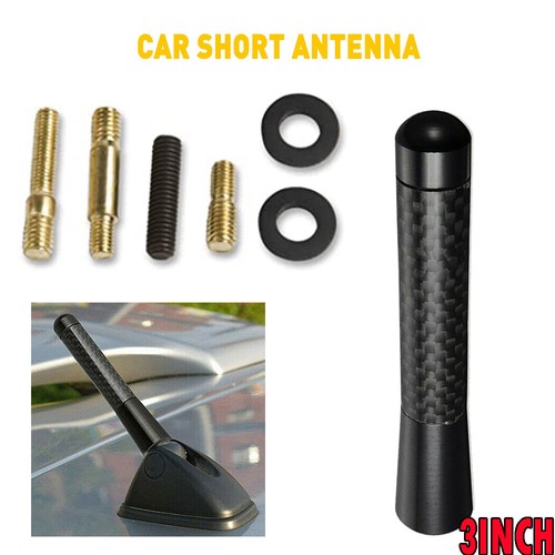 Real carbon inch - inch, short