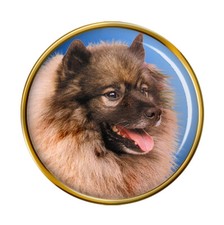 Keeshond (Wolfsspitz) Dog