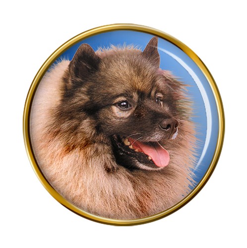 Keeshond dog - (wolfsspitz),