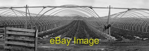 Photo 6x4 polytunnels beside - 6x4,