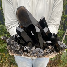 7.38LB Large Natural Smoky