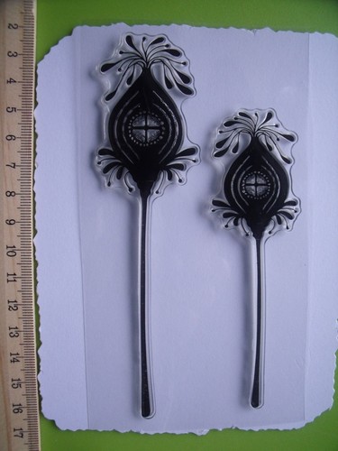 Pair mystical fairy - of, homes
