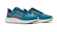 Nike Air Zoom Pegasus 39 Blue