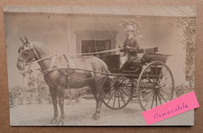 OLD PHOTO MAN HORSE ANIMAL