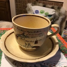 Vintage Royal Worcester Palissy Large Cup And Saucer 