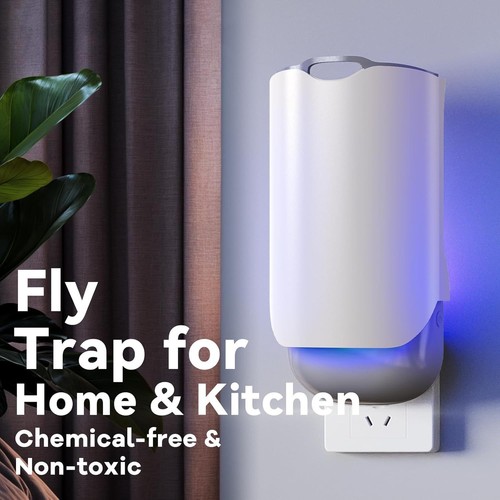 Indoor plug fruit fly - plug-in,