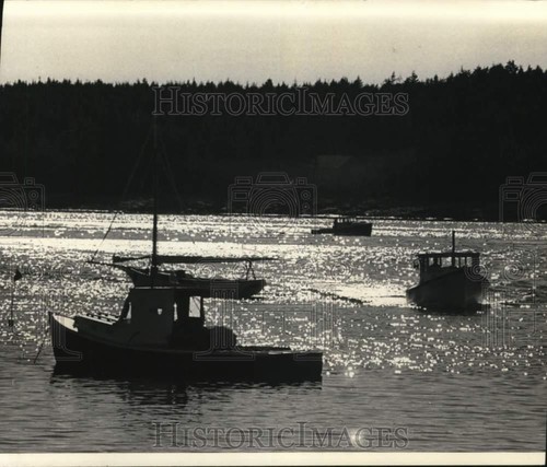 1975 press photo lobster - 1975,