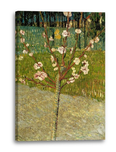 Canvas frames vincent van - van, gogh