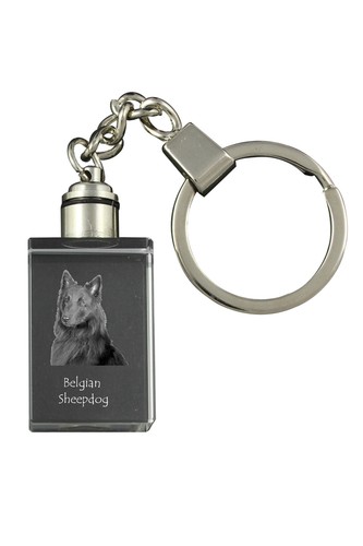 Tervuren belgian shepherd dog - belgian,