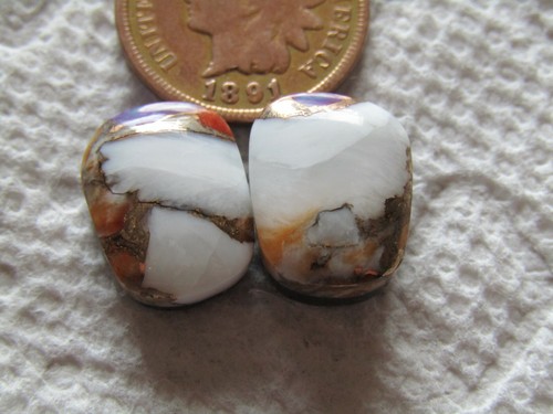 Spiny oyster shell purple - 2,