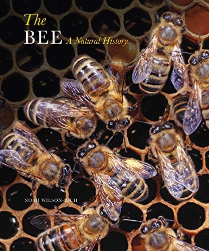 The bee natural - bee:,