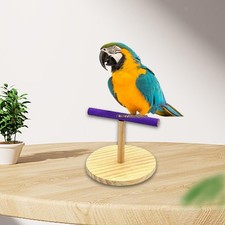 Parrot Playstand, Parrot