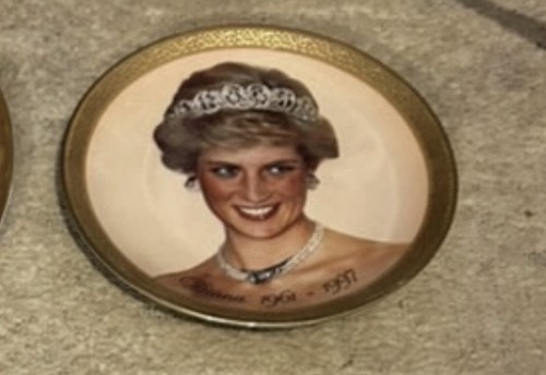 Princess diana portrait - princess,