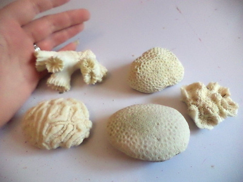 Smaller genuine natural - 5,