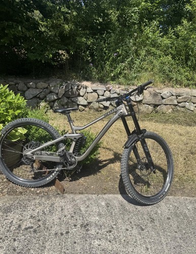 Scott gambler 920 - al, 2021