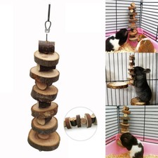 Small Pet Apple Wood Chew Sticks Twigs for Rabbit Hamster Guinea Pig Toys Gift