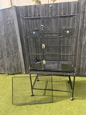 extra large bird, rat, rodent