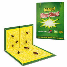 Strong Sticky Pads Trap