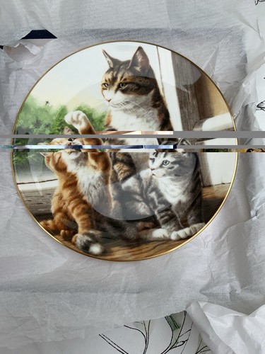 Beautiful coalport decorative - beautiful,