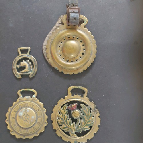 Horse brasses scottish - horse,
