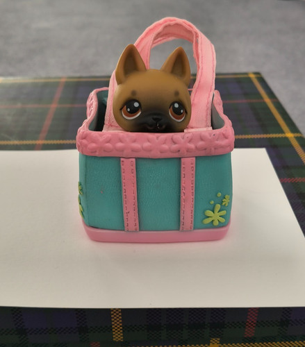 Hasbro littlest pet shop - littlest,